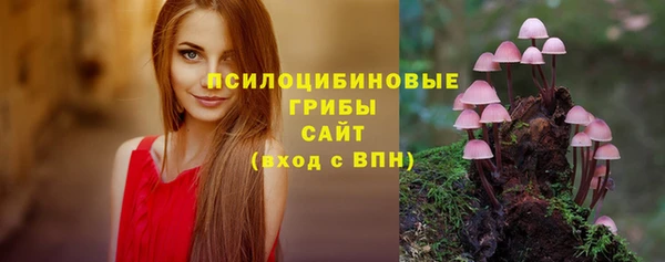 ПСИЛОЦИБИНОВЫЕ ГРИБЫ Нея