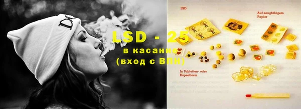 ПСИЛОЦИБИНОВЫЕ ГРИБЫ Нея
