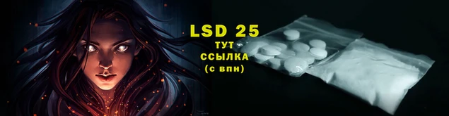 ПСИЛОЦИБИНОВЫЕ ГРИБЫ Нея