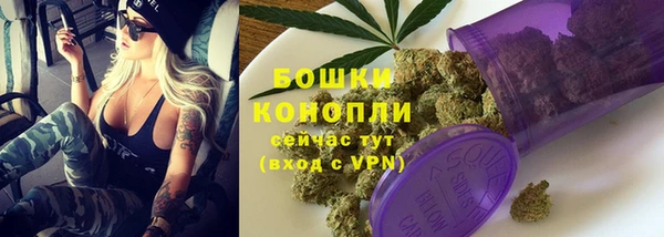ПСИЛОЦИБИНОВЫЕ ГРИБЫ Нея