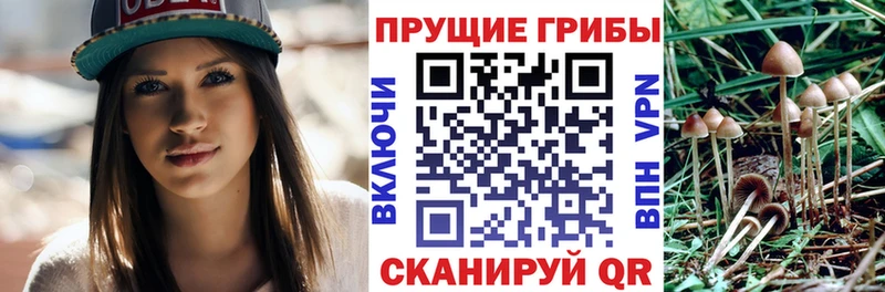 блэк спрут зеркало  Райчихинск  Галлюциногенные грибы Cubensis  купить наркоту 